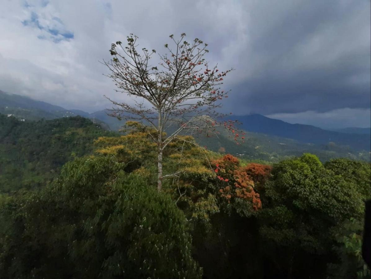 Palmtree Leaf, Munnar Hotel Ngoại thất bức ảnh